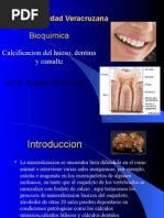 Calcificacion