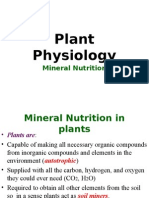 Mineral Nutrition Mycorrhiza