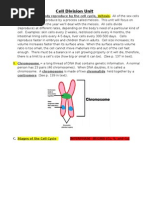 Cell Division Unit