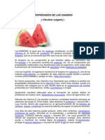 Sandia-Propiedades y Beneficios