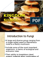 Fungi