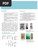 Reporte Fenolftaleina y Fluoresceina