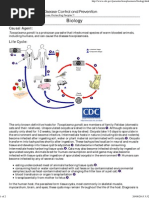 CDC - Toxoplasmosis - Biology