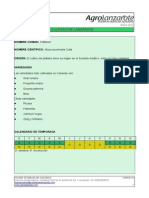 Ficha Del Cultivo de Platano