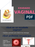 Expo Exu Da Do Vaginal