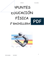 Apuntes Bachillerato 1 Educacion Fisica