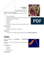 Enfermedades Causadas Por Bacterias Con Imagenes