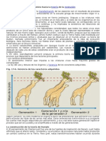 Teorías Evolutivas. Genética y Evolución. Guías 9 y 10