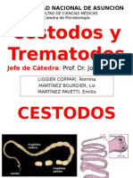 Cestodos y Trematodos