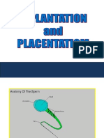 5.implantasi & Plasentasi