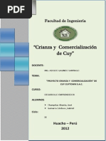 Crianza y Ventas de Cuyes Huacho