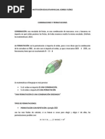 Combinaciones y Permutaciones Parte Dos PDF