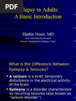 Epilepsy in Adults A Basic Introduction