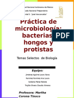 Microbiologia