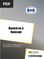 15 Hazard As A Concept PDF