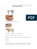 Atlas de Anatomía Topográfica