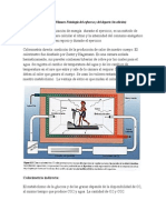 Calorimetría, Cociente Respiratorio, Deuda de Oxigeno Umbral Anaerobio