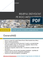 10 22 58 241 Relieful Pe Roci Metamorfice PDF