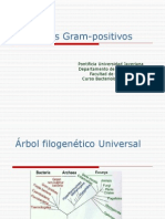 Cocos Gram Positivos-Definitivos