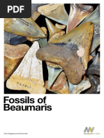 Beaumaris Fossil Book