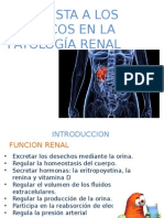 Patologia Renal en Farmacología