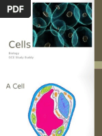 Cells: Biology GCE Study Buddy