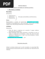 Antibacterianos Inhibidores de Síntesis Proteica