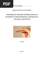 Modelo Programa Vigilancia Salud Ocupacional PDF