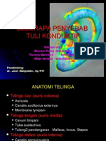 Tuli Konduktif PPT NEW