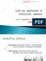 Anatomie (Sistemu - Osos) PDF