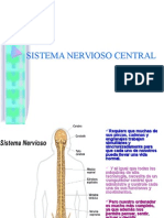 Sistema Nervioso