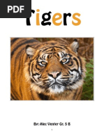 Tiger Nonfiction