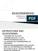 GLUCOGENESIS