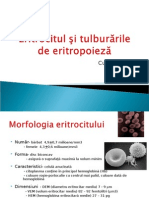 Curs 2 - Eritrocitul