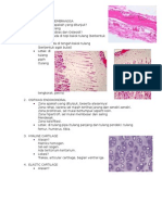 Histologi Tulang