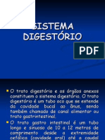 9 Sistema Digestório