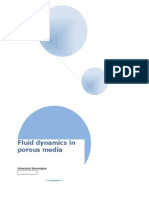 Fluid Mechanics in Porous Media