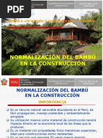 Exposición Diseño y Construcción Con Bambú MINCETUR PDF