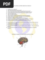 23777-Taller Del Sistema Nervioso.