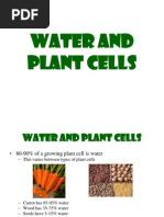 Lec 2 - Water and Plant Cells