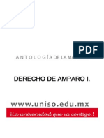 Derecho de Amparo I