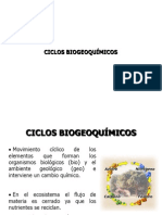 Ciclos Biogeoquimicos 