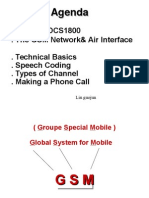 GSM900/DCS1800 - The GSM Network& Air Interface - Technical Basics - Speech Coding - Types of Channel - Making A Phone Call