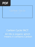 Carbon Cycle: - Book E PG 50 51