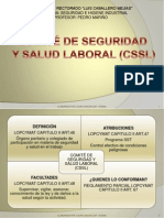 Tema Extra - Comite Seguridad y Salud Laboral - Laura Oseche - Exp9720384