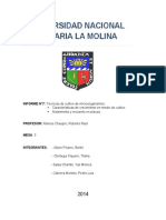 Informe #7