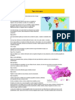 Tipos de Mapas