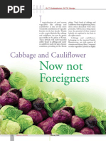 Cabbage and Cauliflower Now Not Foreigners