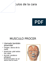 Musculos de La Cara