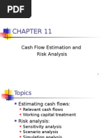 Cash Flow Estimation and Risk Analysis